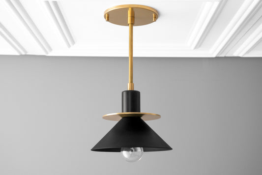 Pendant Light Model No. 8778