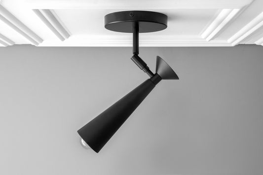 Zyrie Modern Adjustable Cone Metal Ceiling Light