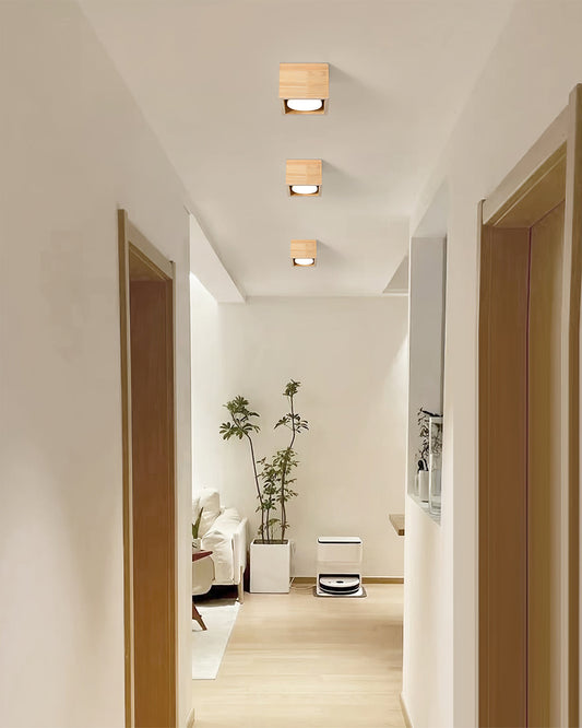 Ozawa Ceiling Lamp