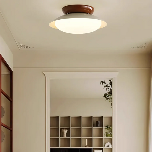 Liam Modern Frosted Dome Shade Ceiling Light