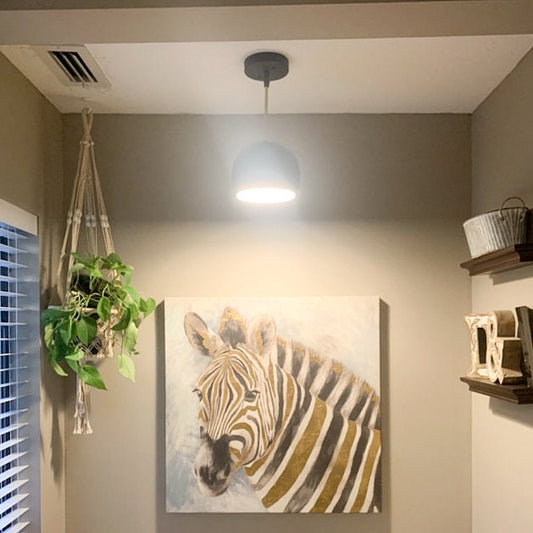 PENDANT MODEL No. 6559