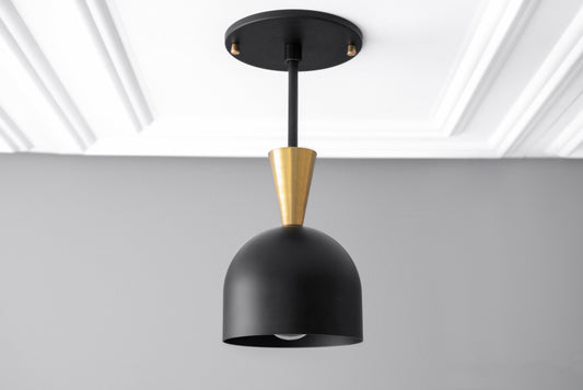 Pendant Light - Model No. 8289