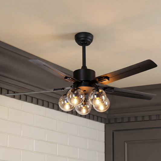 Glass Ball Ceiling Fan Light