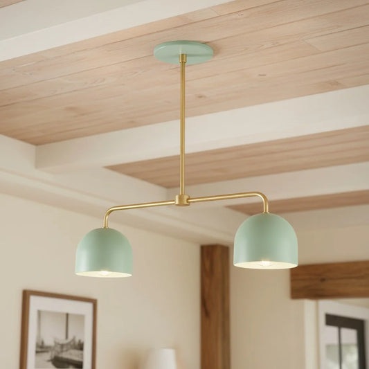 Shirley Modern Gooseneck Arm Two Head Metal Chandelier