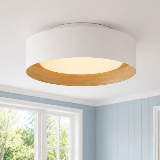 Giselle Modern Glass Flush Mount Ceiling Light