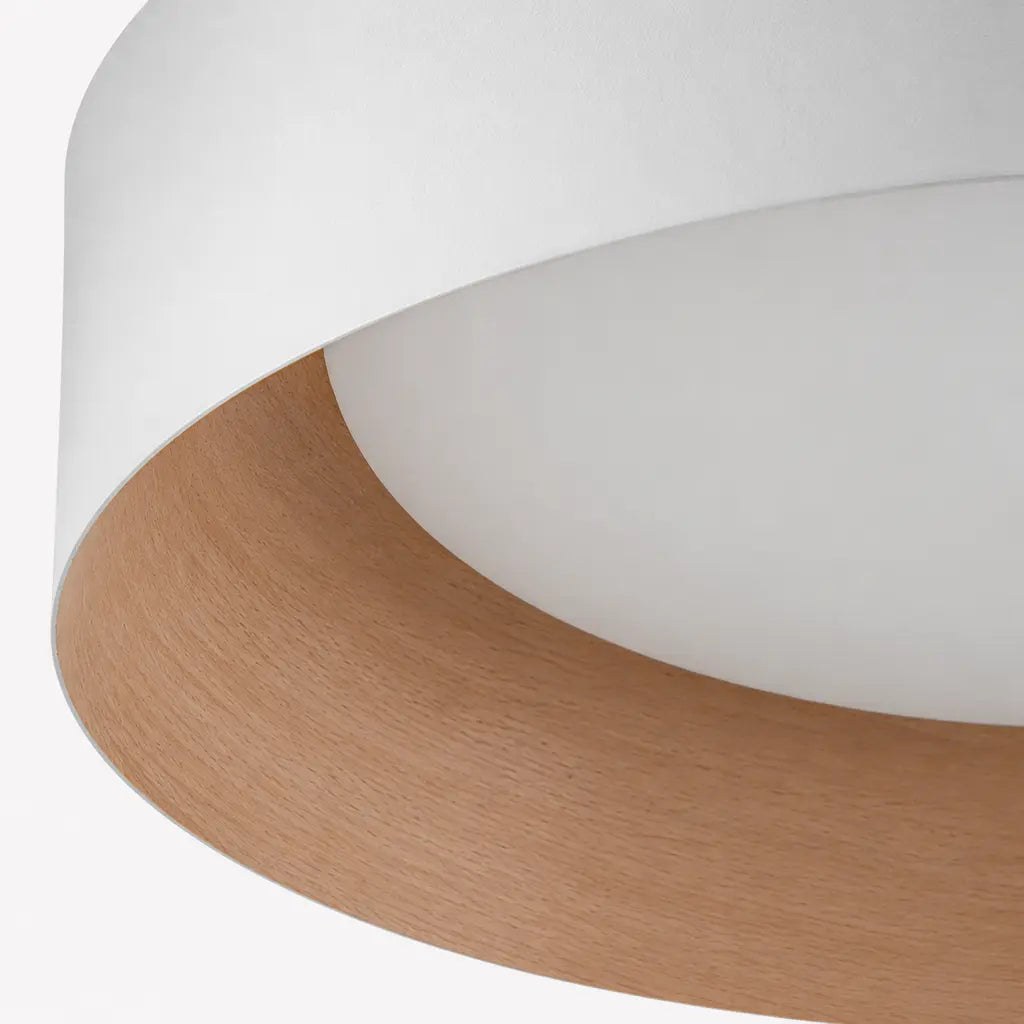 Giselle Modern Glass Flush Mount Ceiling Light, Shared, material detail