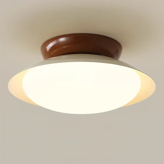 Liam Modern Frosted Dome Shade Ceiling Light