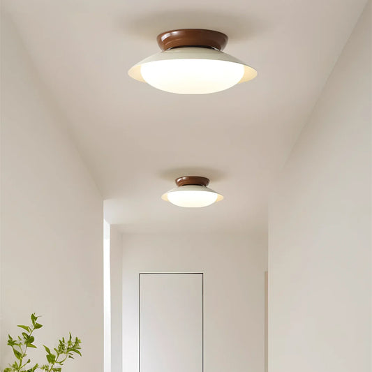 Liam Modern Frosted Dome Shade Ceiling Light