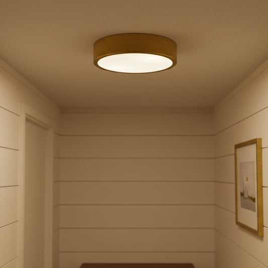 Nordic Small Metal Round Ceiling Light
