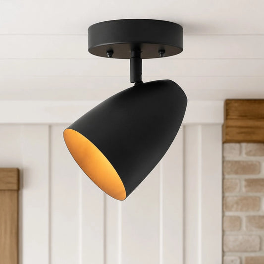Ramona Minimalist Adjustable Spotlight Ceiling Light