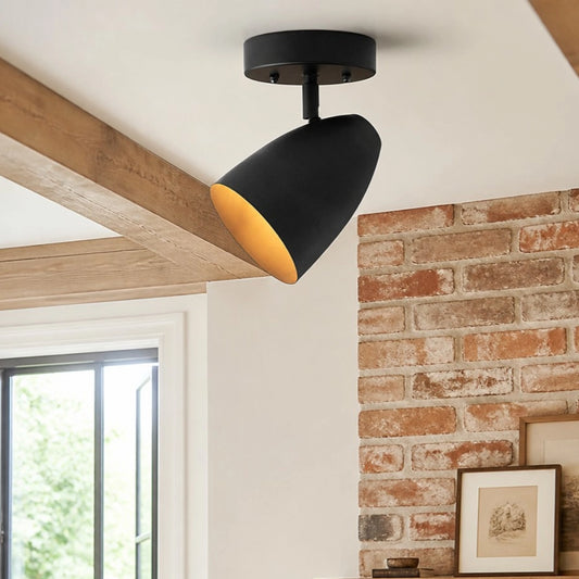 Ramona Minimalist Adjustable Spotlight Ceiling Light