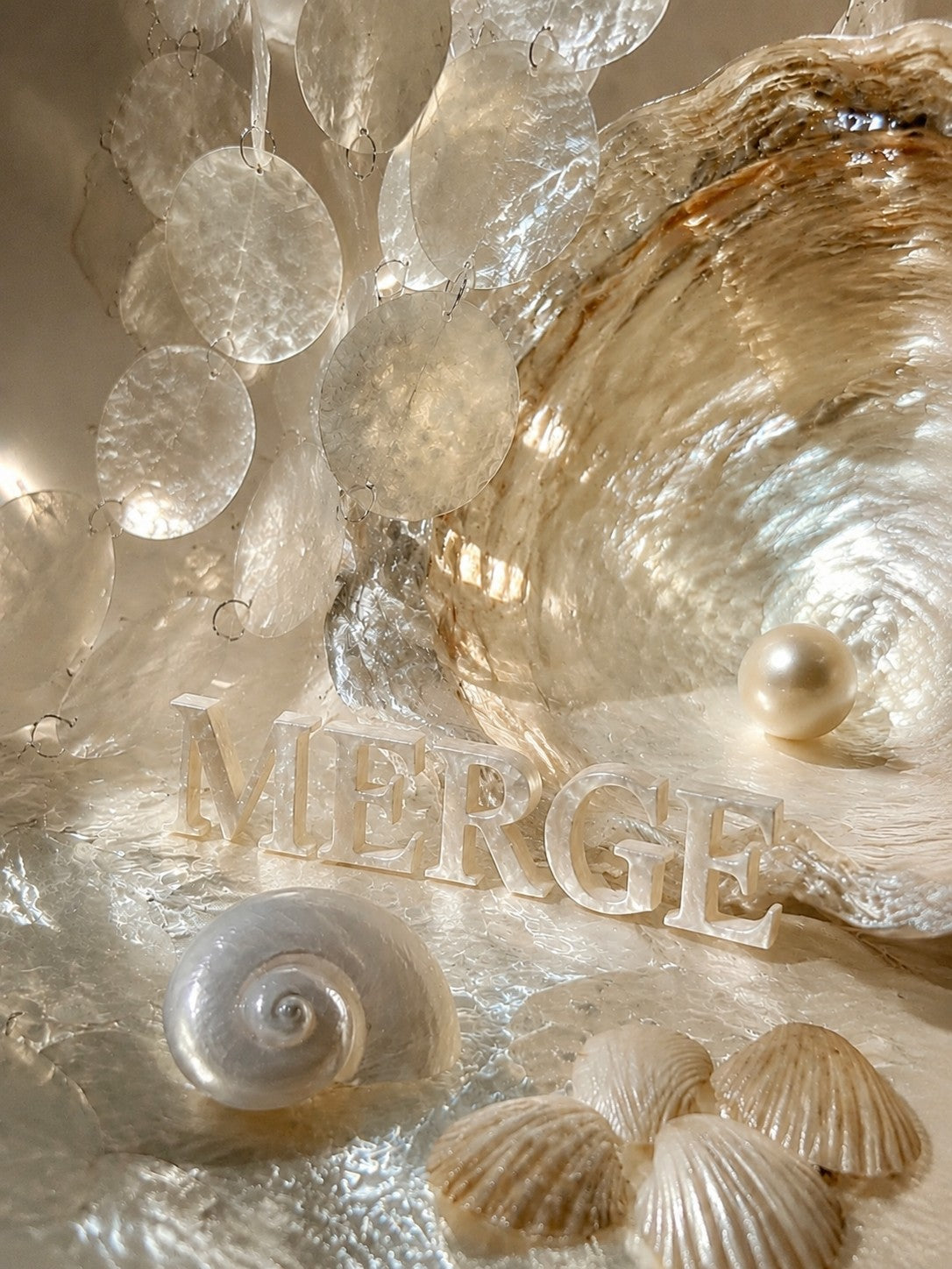 Capiz shell material study showing layered translucency and natural iridescence